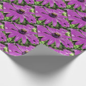 Papier Cadeau Honey Bee Sur Un Daisy Africain Violet (Coin)