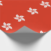 Papier Cadeau Hong Kong (Coin)