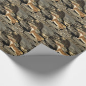 Papier Cadeau Huile de chasse (Coin)