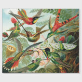 Papier Cadeau Hummingbirds par Ernst Haeckel (Plat)