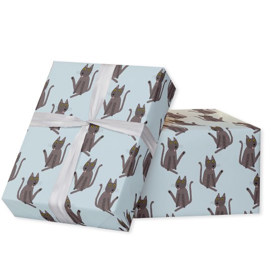 Papier Cadeau Humour drôle de chat