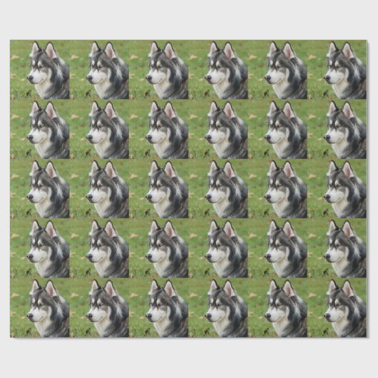 Papier Cadeau Husky (Plat)