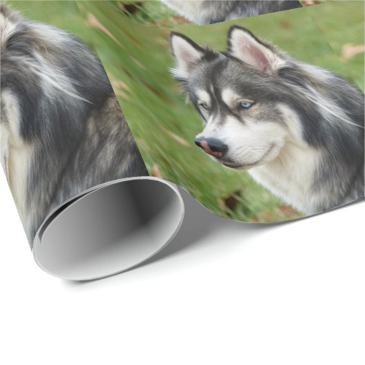 Papier Cadeau Husky (Coin rond)