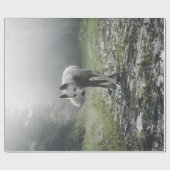 Papier Cadeau Husky Sibérien Blanc (Plat)