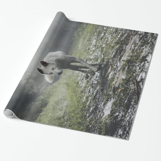Papier Cadeau Husky Sibérien Blanc (Déroulé)