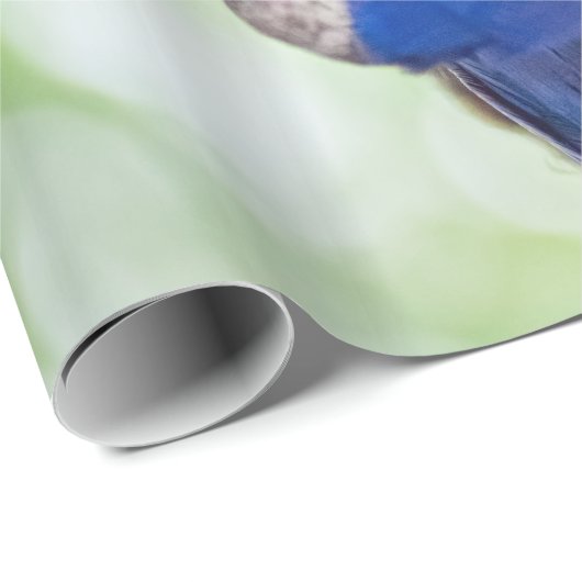 Papier Cadeau Hyacinth (Coin rond)