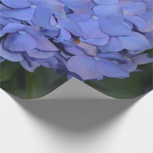 Papier Cadeau Hydrangea macrophylla violette rustique (Coin)