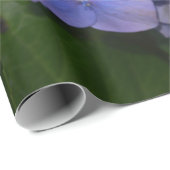 Papier Cadeau Hydrangea macrophylla violette rustique (Coin rond)