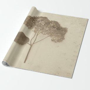 Papier Cadeau Hydrangea Vintage Sepia antique Rustique Floral