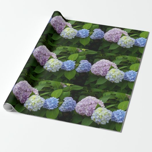 Papier Cadeau Hydrangée (Déroulé)