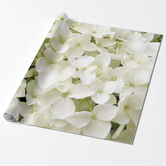 Papier Cadeau Hydrangée blanche tendance Floral (Déroulé)
