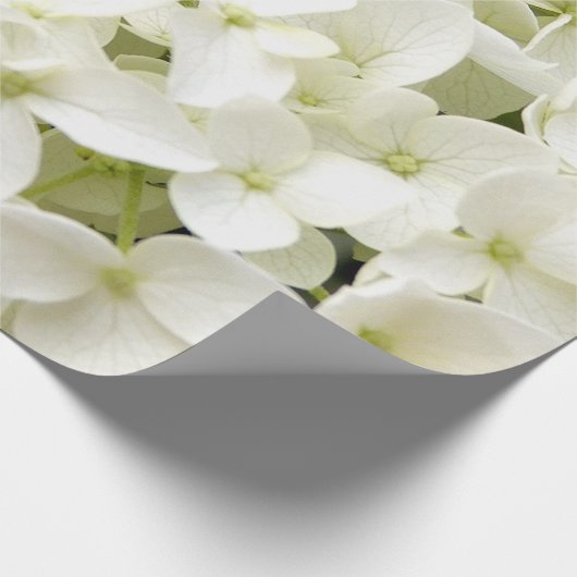 Papier Cadeau Hydrangée blanche tendance Floral (Coin)