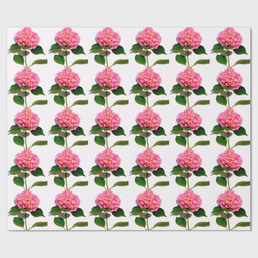 Papier Cadeau Hydrangée rose rose fleur rose (Plat)