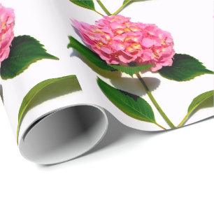 Papier Cadeau Hydrangée rose rose fleur rose