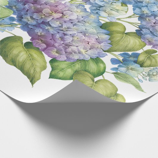 Papier Cadeau Hydrangées en fleur (Coin)