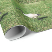 PAPIER CADEAU IBIS (Coin rond)