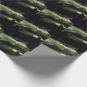 Papier Cadeau Iguana délicatissima (Coin)