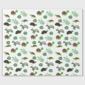 Papier Cadeau Île Turtle (Plat)
