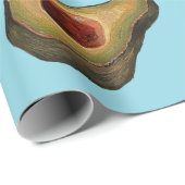 Papier Cadeau Illusion d'avocat  (Coin rond)