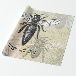 Papier Cadeau Illustration Antique d'Insecte de Bourdon Reine Ab