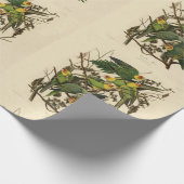 Papier Cadeau Illustration Audubon Carolina Parrot Bird (Coin)