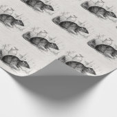 Papier Cadeau Illustration Brown de rats de rat de grange de (Coin)