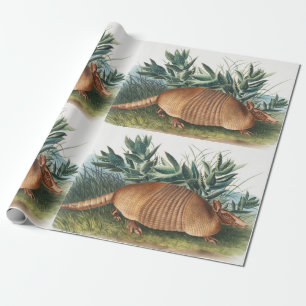 Papier Cadeau Illustration d'Armadillo (Dasypus Peba) à neuf ban