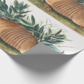 Papier Cadeau Illustration d'Armadillo (Dasypus Peba) à neuf ban (Coin)