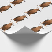 Papier Cadeau Illustration de dessin animé autour du vautour (Coin)