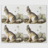 Papier Cadeau Illustration de Fox (Vulpes velox) (Plat)