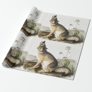 Papier Cadeau Illustration de Fox (Vulpes velox)