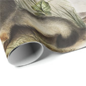 Papier Cadeau Illustration de Fox (Vulpes velox) (Coin rond)