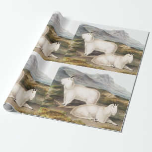 Papier Cadeau Illustration de la chèvre des Rocheuses (Capra Ame
