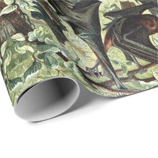 Papier Cadeau illustration de l'acadamia de chauve-souris volant (Coin rond)