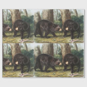 Papier Cadeau Illustration de l'ours noir américain Ursus Americ (Plat)