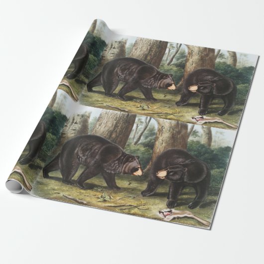 Papier Cadeau Illustration de l'ours noir américain Ursus Americ (Déroulé)