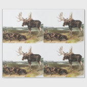 Papier Cadeau Illustration de Moose Deer (Servus alces) (Plat)