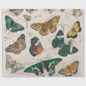 Papier Cadeau Illustration de papillon antique : 1820 Orfèvre (Plat)