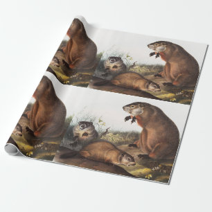 Papier Cadeau Illustration de Woodchuck (Arctomys monax)