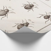 Papier Cadeau Illustration des insectes des insectes des années (Coin)