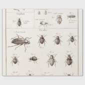 Papier Cadeau Illustration des insectes des insectes des années (Plat)