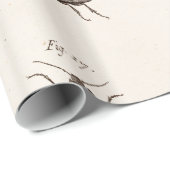 Papier Cadeau Illustration des insectes des insectes des années (Coin rond)