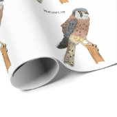 Papier Cadeau Illustration d'oiseau américain Kestrel (Coin rond)