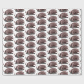 Papier Cadeau Illustration du dragon de Komodo (Plat)