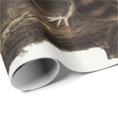 Papier Cadeau Illustration du raton laveur (Procyon lotor) (Coin rond)