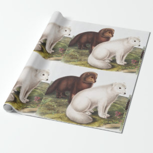 Papier Cadeau Illustration du renard arctique (Vulpes lagopus)