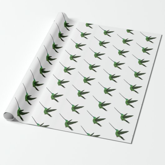Papier Cadeau Illustration d'un colibri à bec épée (Déroulé)