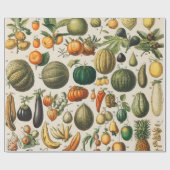 Papier Cadeau Illustration scientifique végétale des fruits (Plat)