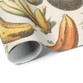 Papier Cadeau Illustration scientifique végétale des fruits (Coin rond)