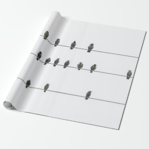 Papier Cadeau Illustration simple d'oiseaux sur les fils dessin